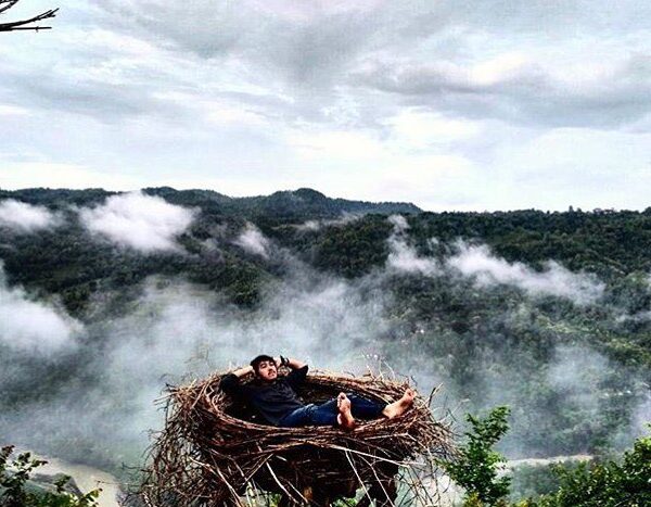 Ada sarang burung raksasa nih di Dlingo 

#explorejogja photo today by  taken at...