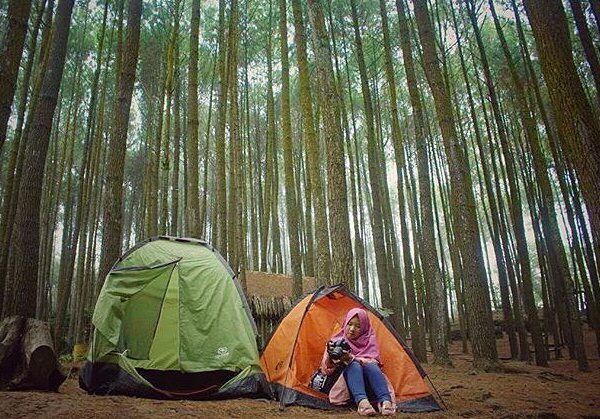 Asyik banget kayaknya ya ngecamp di sini.

#explorejogja photo today by  taken a...