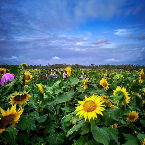 Mana suaranya yang udah dan kepengen kesini? .
.
#explorejogja photo today by  t...