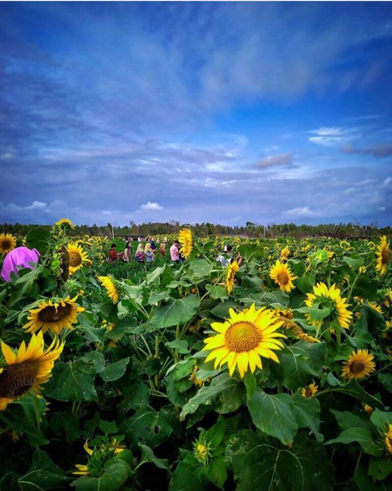 Mana suaranya yang udah dan kepengen kesini? .
.
#explorejogja photo today by  t...