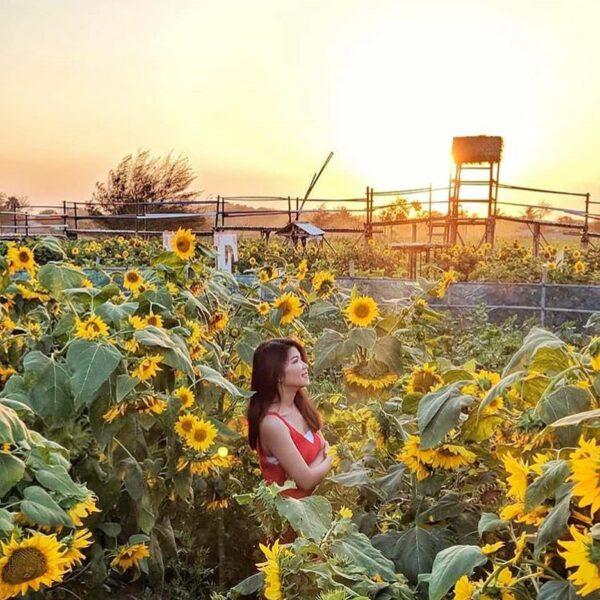 Nah kapan-kapan main ke sini lagi yuk...
*
#explorejogja photo today by  taken a...