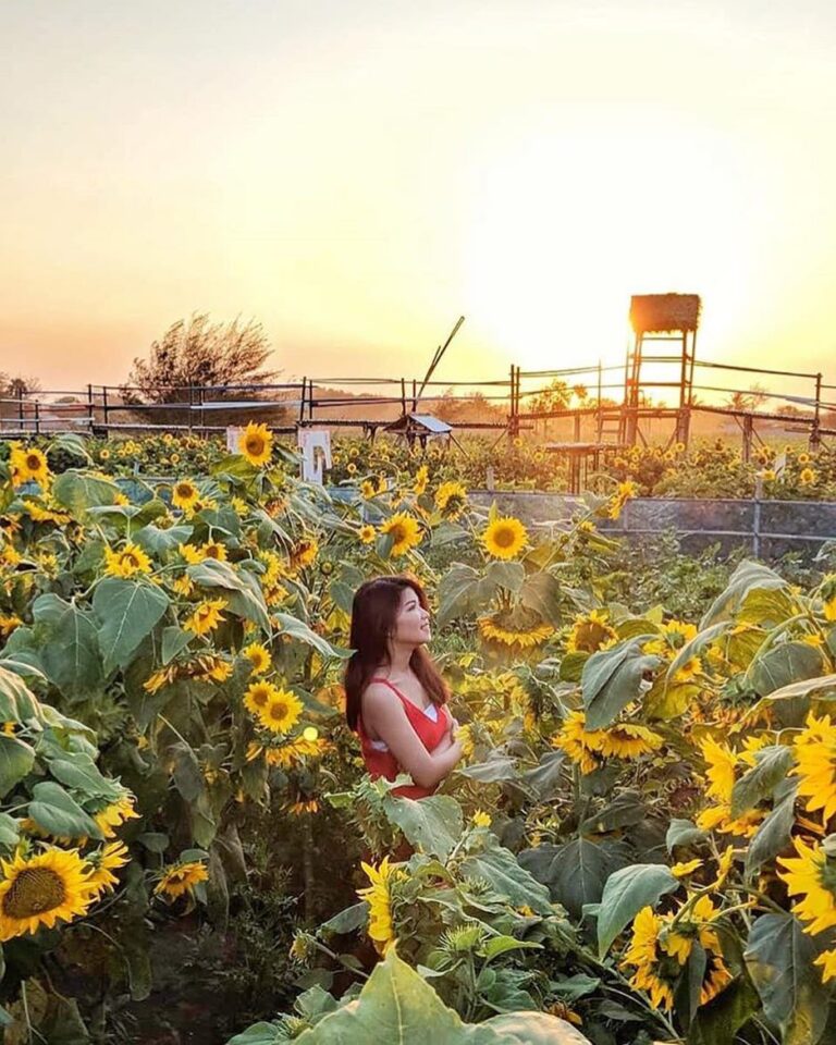 Nah kapan-kapan main ke sini lagi yuk...
*
#explorejogja photo today by  taken a...