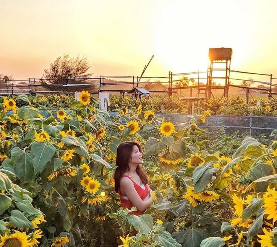 Nah kapan-kapan main ke sini lagi yuk...
*
#explorejogja photo today by  taken a...