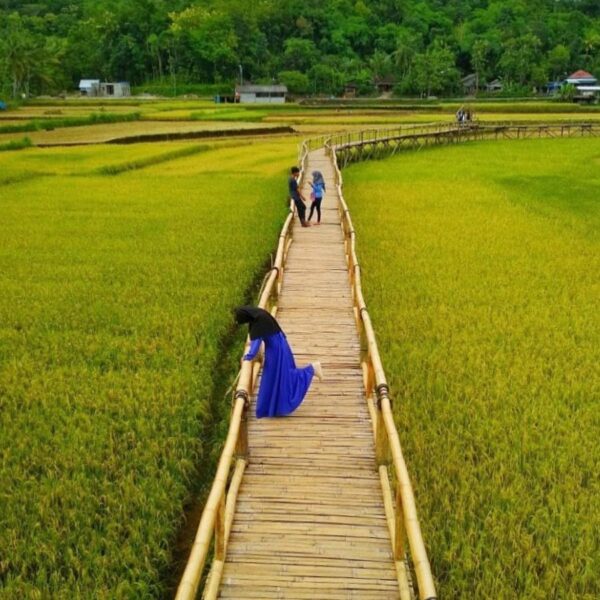 Orang ketiga itu biasanya.....
*
*
*
*
... masih nunggu temennya.
*
#explorejogj...