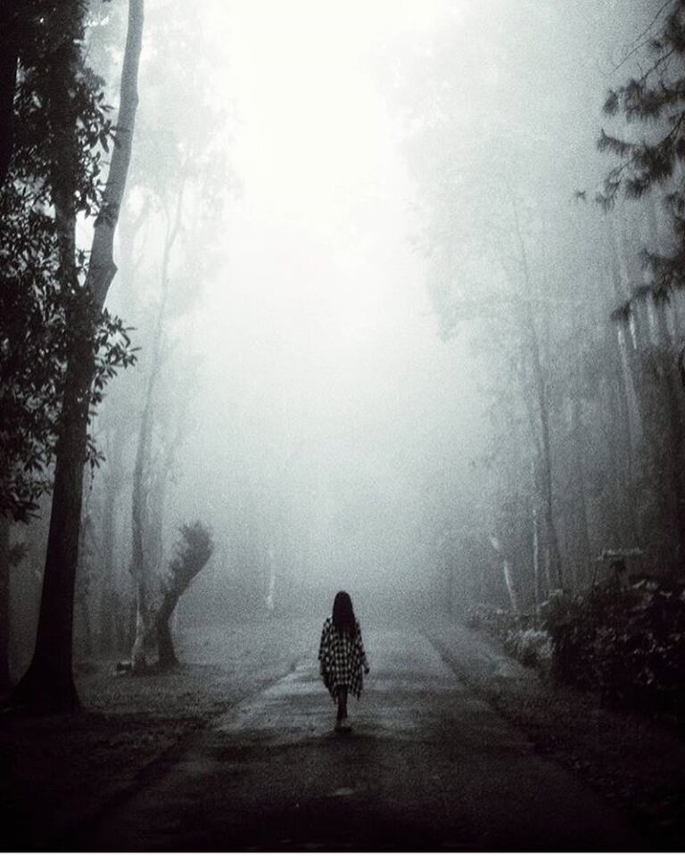 Pernah jalan-jalan dengan kabut setebal ini ga?

#explorejogja photo today by  t...