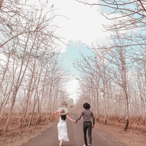 Selamat berakhir pekan semuanya 
*
#explorejogja photo today by  taken around Pl...