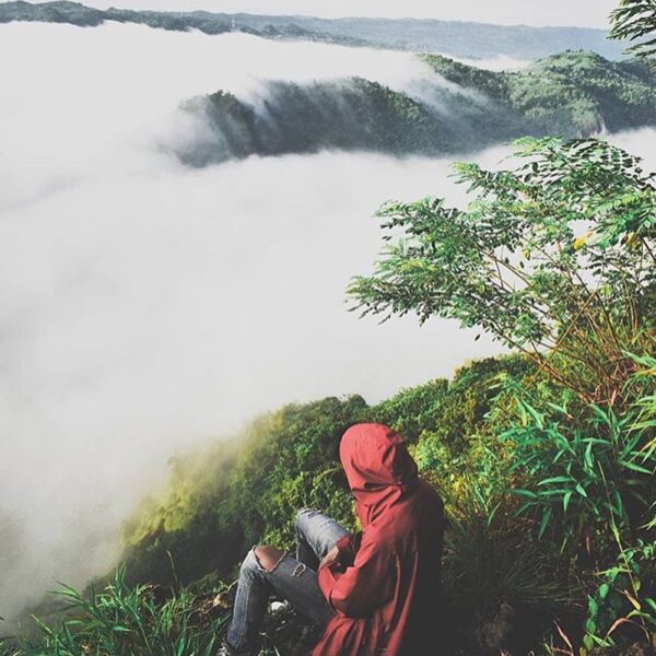 Selamat pagi.

#explorejogja photo today by  taken at Kebun Buah Mangunan, Dling...