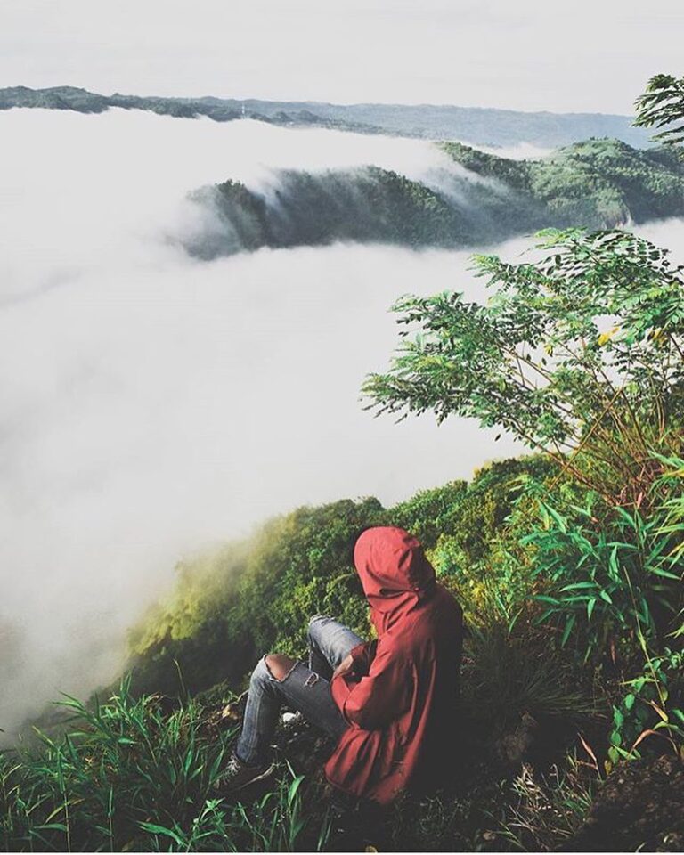 Selamat pagi.

#explorejogja photo today by  taken at Kebun Buah Mangunan, Dling...