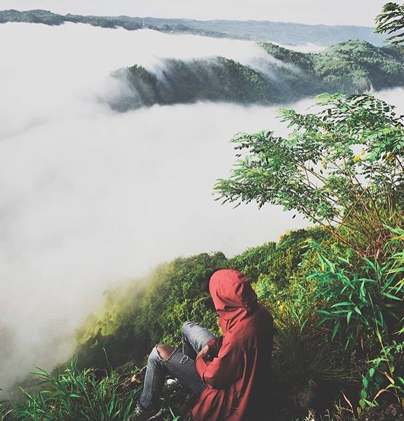 Selamat pagi.

#explorejogja photo today by  taken at Kebun Buah Mangunan, Dling...