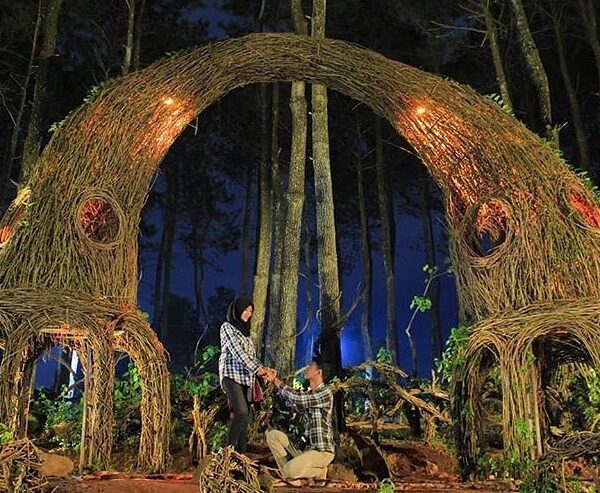 Udah ah yang lain jangan baper...
*
#explorejogja photo today by  taken at Hutan...