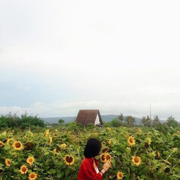 Udah pada kesini belom?

___________________________________________________
#ex...