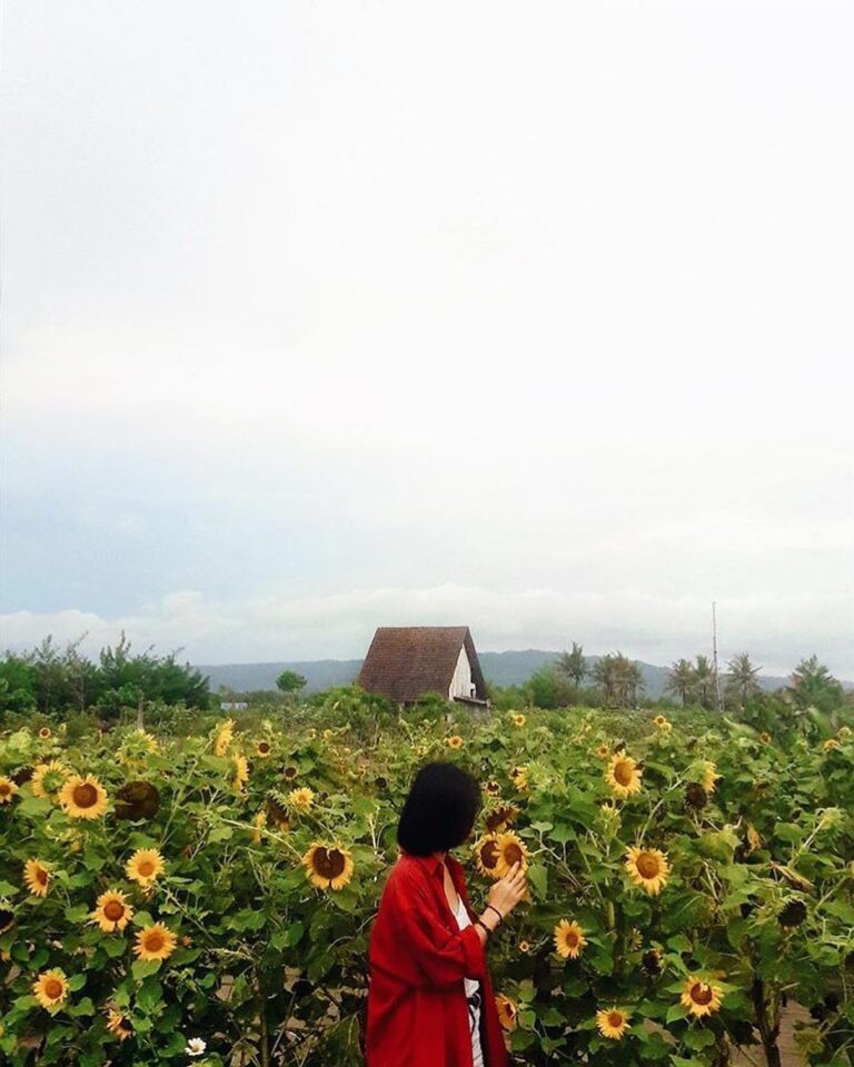 Udah pada kesini belom?

___________________________________________________
#ex...
