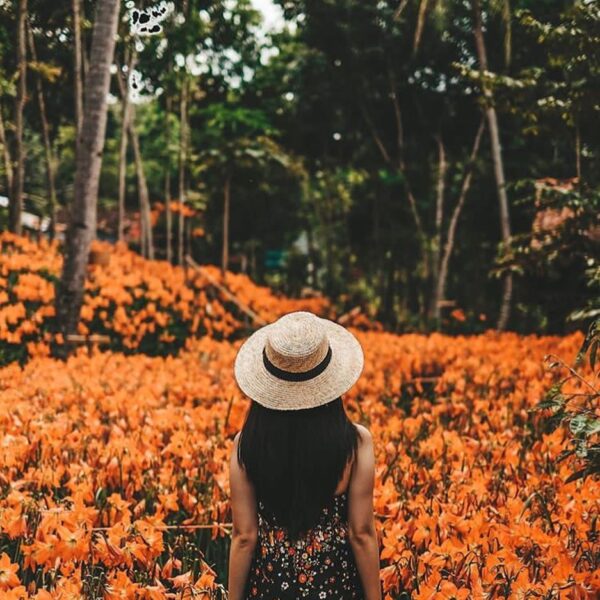Weekend ini kalian mau ajak siapa ke sini?

#explorejogja photo today by  taken ...