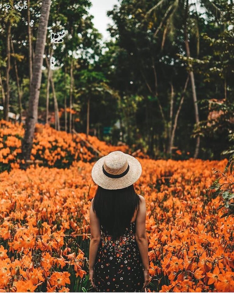 Weekend ini kalian mau ajak siapa ke sini?

#explorejogja photo today by  taken ...
