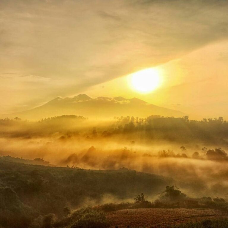 An epic #exploresukabumi golden hour photo nicely captured by  at #Parungkuda.

...