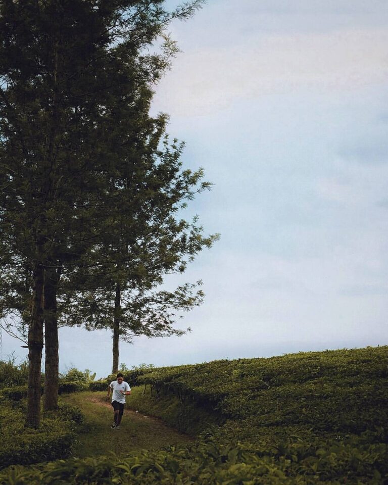 An inspiration for Sunday's running trail. #exploresukabumi photo by ...