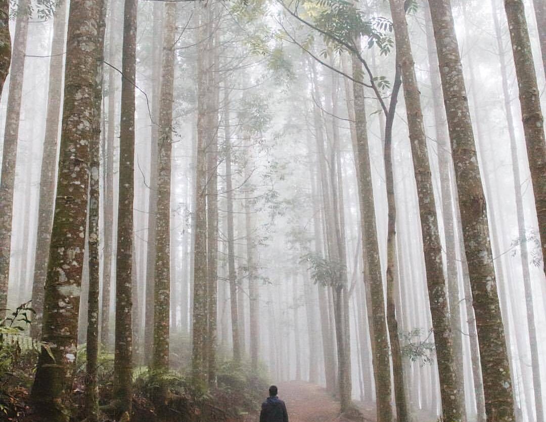 Another misty morning around Pasir Datar well captured by  #exploresukabumi...