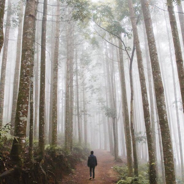 Another misty morning around Pasir Datar well captured by  #exploresukabumi...