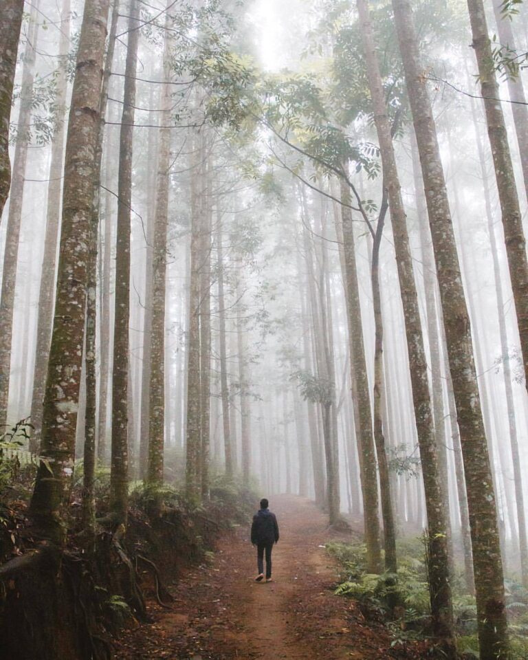 Another misty morning around Pasir Datar well captured by  #exploresukabumi...
