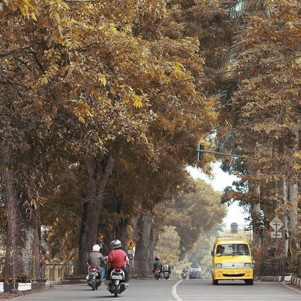 Back to routine, happy Monday! 
Can you guess the address that  took this photo ...