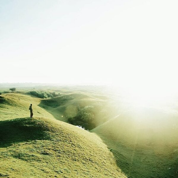 Be grateful for the nature greets you everyday with a view like this. -
-
Photo ...