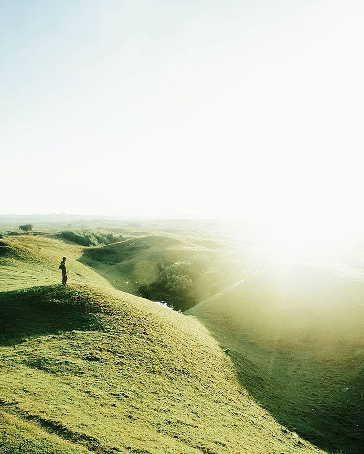 Be grateful for the nature greets you everyday with a view like this. -
-
Photo ...