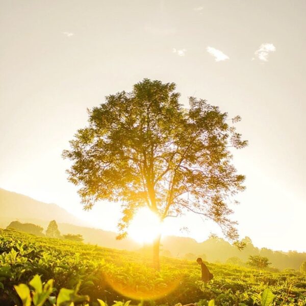 Brand new day,  brand new you,  brand new changes. Photo by  taken at Pondok Hal...