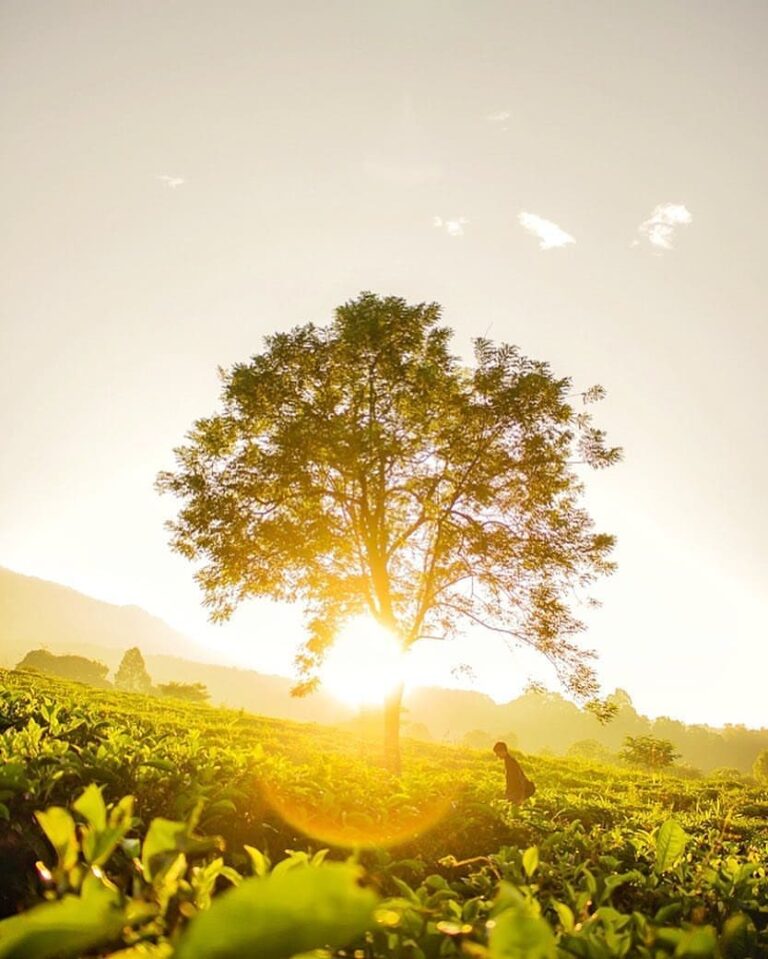 Brand new day,  brand new you,  brand new changes. Photo by  taken at Pondok Hal...