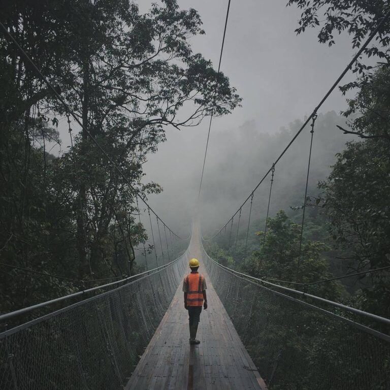 Catching fog at Situgunung Bridge photo by  #exploresukabumi
.
Note: This suspen...