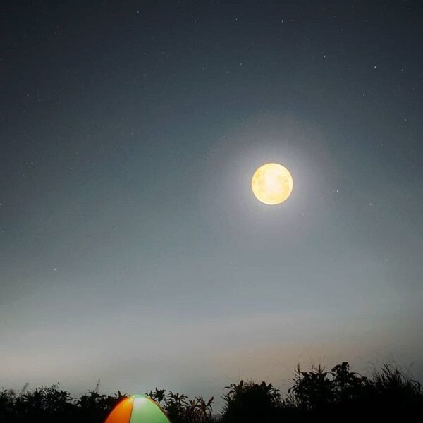 Describe this photo with ONE word! 
-
Beautiful night scene well captured by  ta...