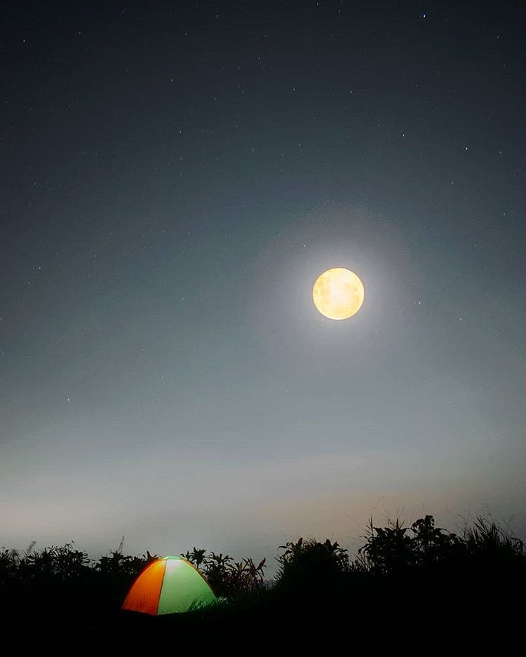Describe this photo with ONE word! 
-
Beautiful night scene well captured by  ta...