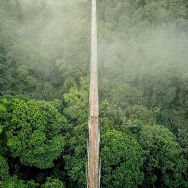 Describe this view with one word!
#exploresukabumi photo by  taken above Situgun...