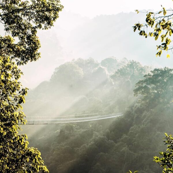 Describe this with ONE word!  #exploresukabumi photo by  taken at Taman Nasional...