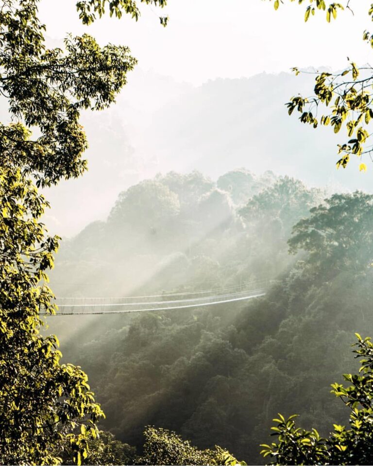 Describe this with ONE word!  #exploresukabumi photo by  taken at Taman Nasional...