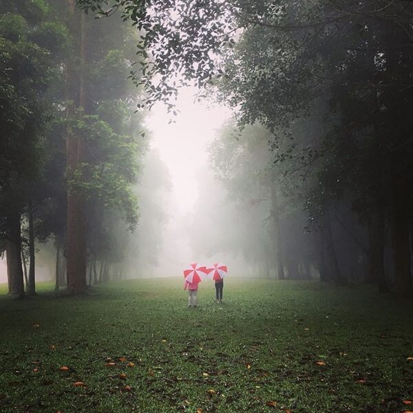 Escaping the daily routine to this soothing ambiance of selabintana’s foggy morn...