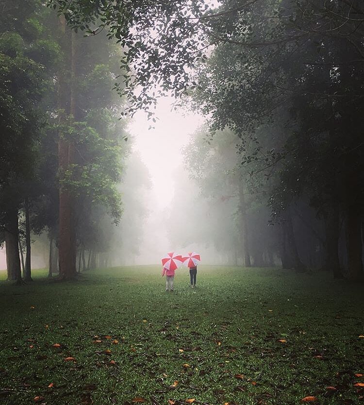 Escaping the daily routine to this soothing ambiance of selabintana’s foggy morn...