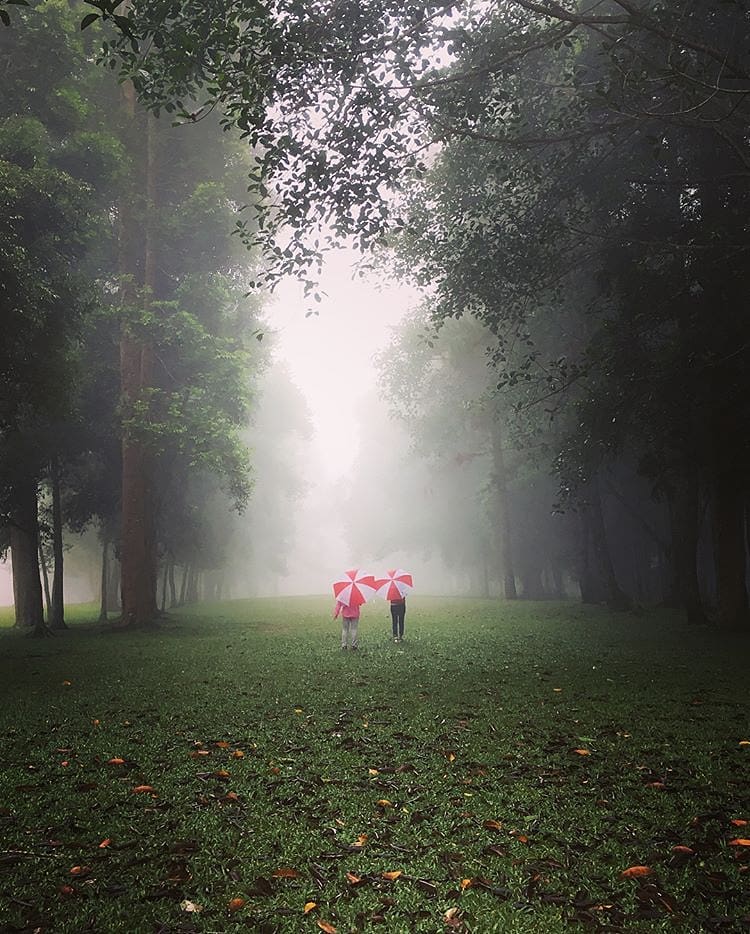 Escaping the daily routine to this soothing ambiance of selabintana’s foggy morn...