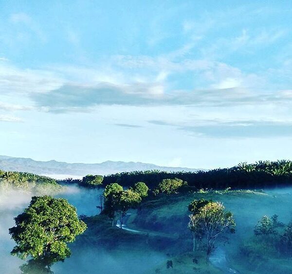Good morning! Can you spot a road lies behind the fog? Photo by  taken around Ci...