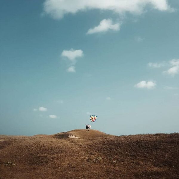 Happiness seen up on the hill. What song perfect for this kind of mood?
-
Photo ...