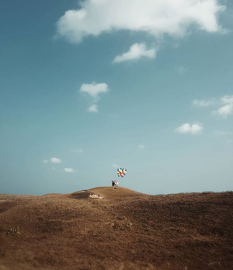 Happiness seen up on the hill. What song perfect for this kind of mood?
-
Photo ...