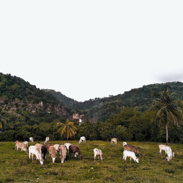 Happy Eid al-Adha Mubarak!
#exploresukabumi photo by  taken at #CiletuhPalabuhan...