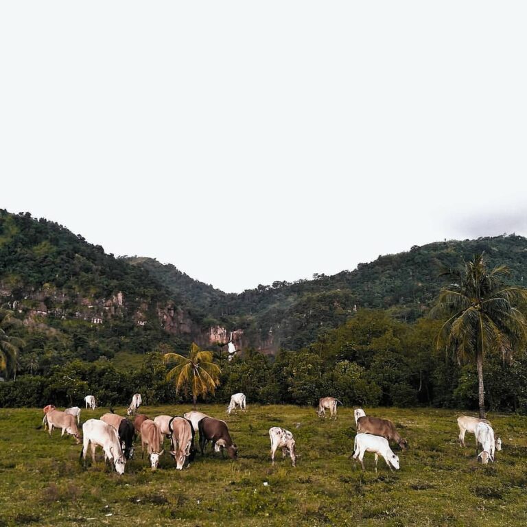 Happy Eid al-Adha Mubarak!
#exploresukabumi photo by  taken at #CiletuhPalabuhan...