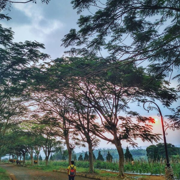 Have you been here before?  shared his experience at Pondok Halimun. Head over t...