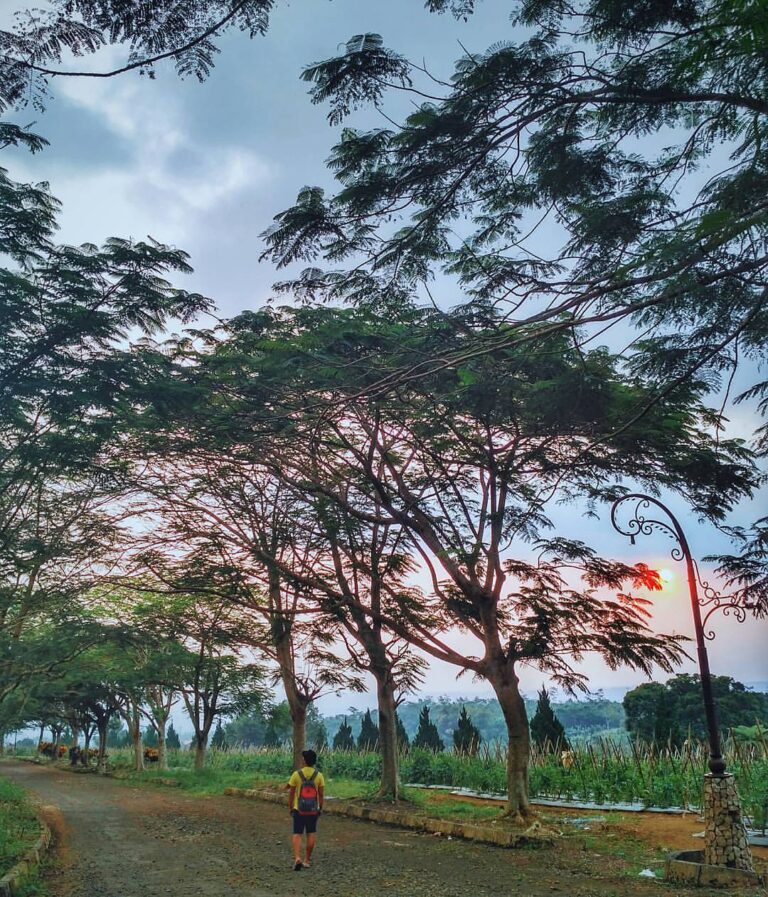 Have you been here before?  shared his experience at Pondok Halimun. Head over t...