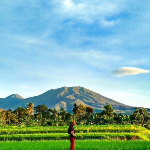 Hope you enjoy this kind of view this morning, photo by  taken around Desa Limba...