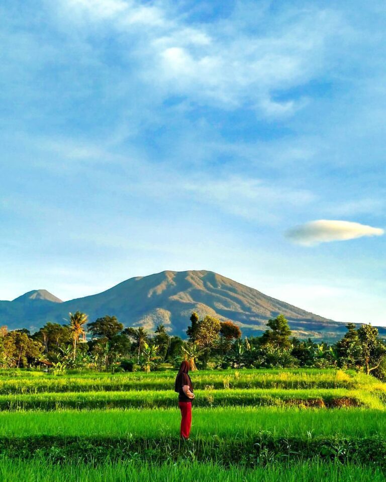 Hope you enjoy this kind of view this morning, photo by  taken around Desa Limba...