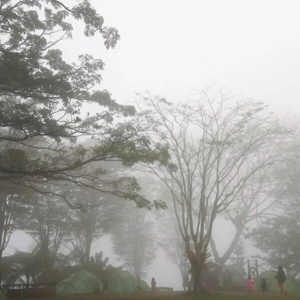 It's a rainy Sunday. But why bother? The adventure awaits.. everywhere. Misty vi...