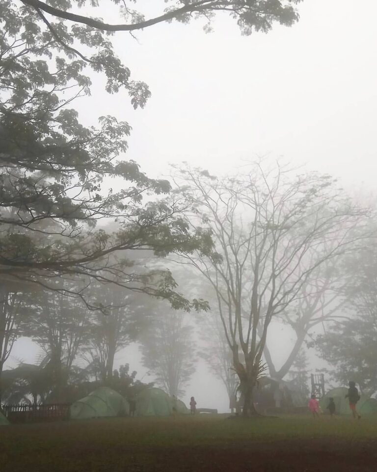 It's a rainy Sunday. But why bother? The adventure awaits.. everywhere. Misty vi...