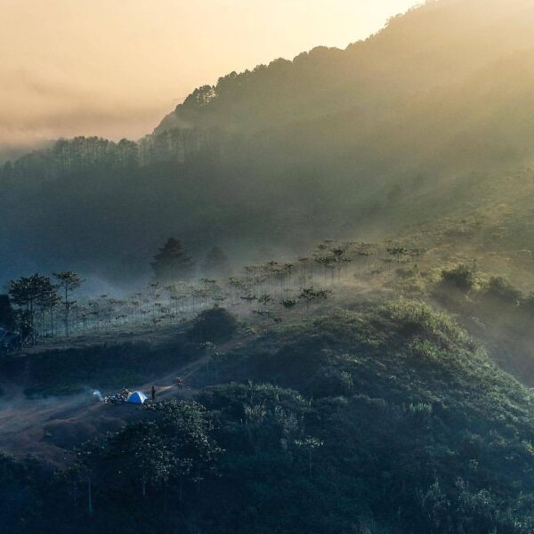 Just in case you need a reason to go out and explore, here's  sharing his early ...
