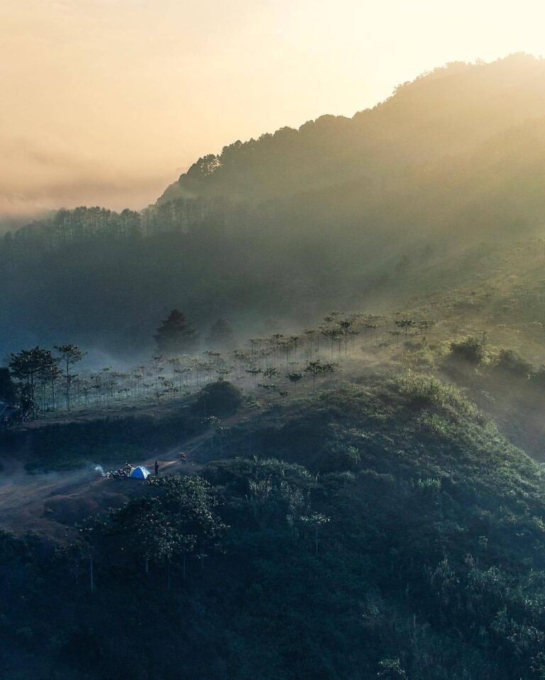 Just in case you need a reason to go out and explore, here's  sharing his early ...